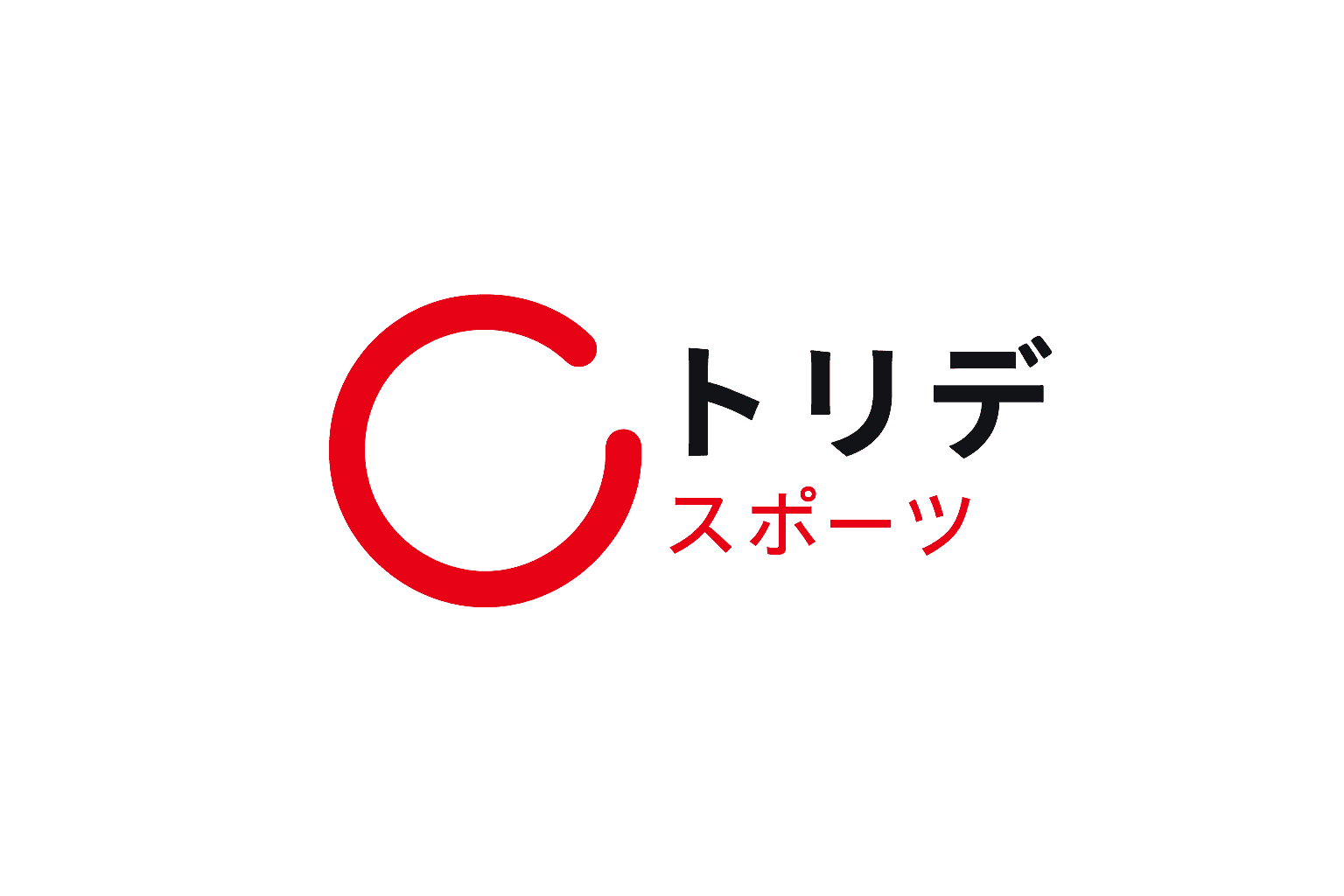 Screenshot of Toride Store project showing the main interface